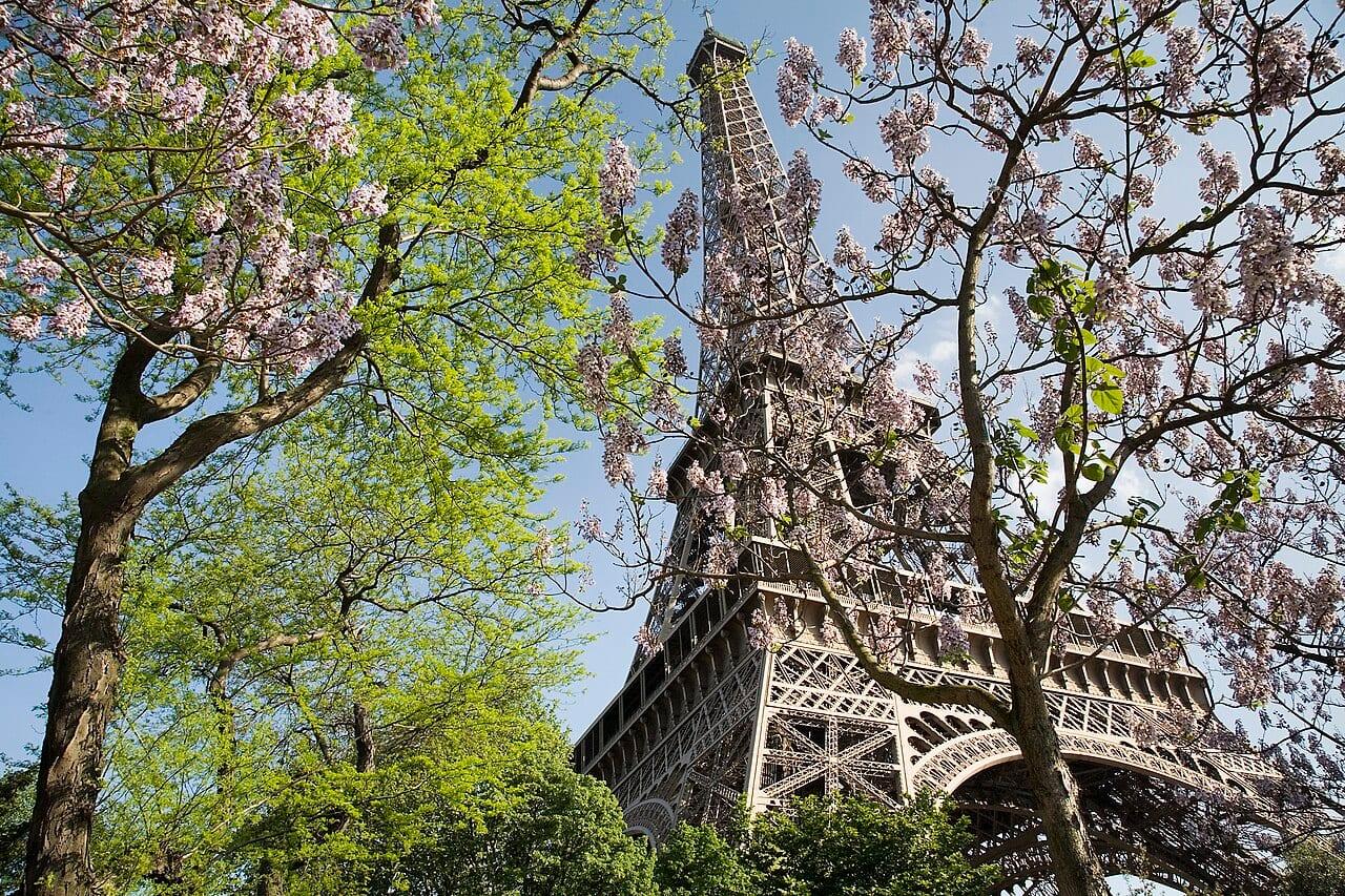 Paris Family Guide: Sights, Food, and Getting Around