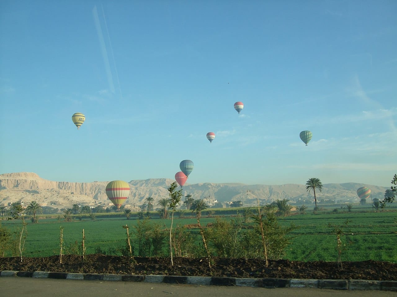 Hot-air balloons over green fields on the West Bank at dawn