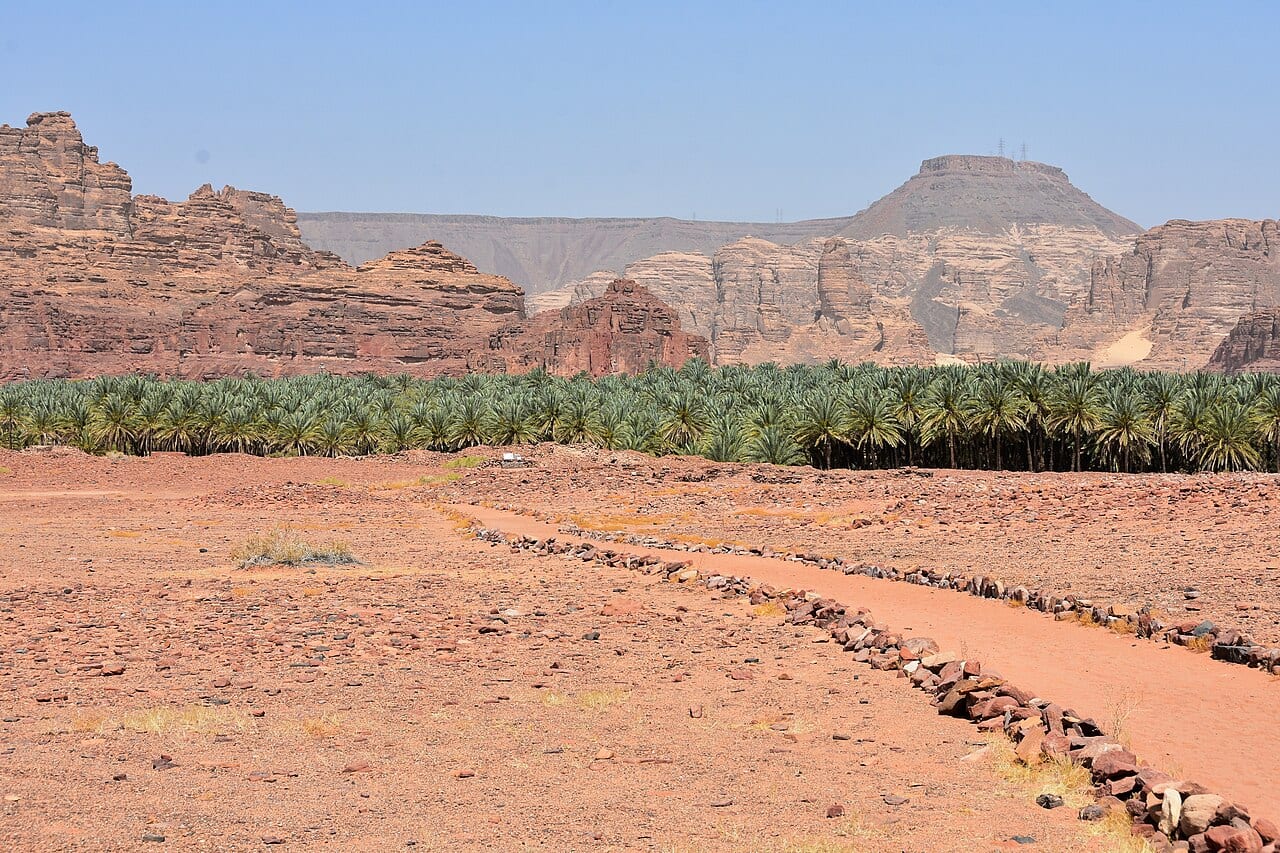 The ancient site of Dadan below red cliffs and palm groves in AlUla