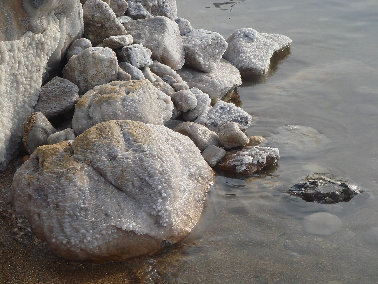 Rocks crusted with white salt crystals in the shallow water of the Dead Sea